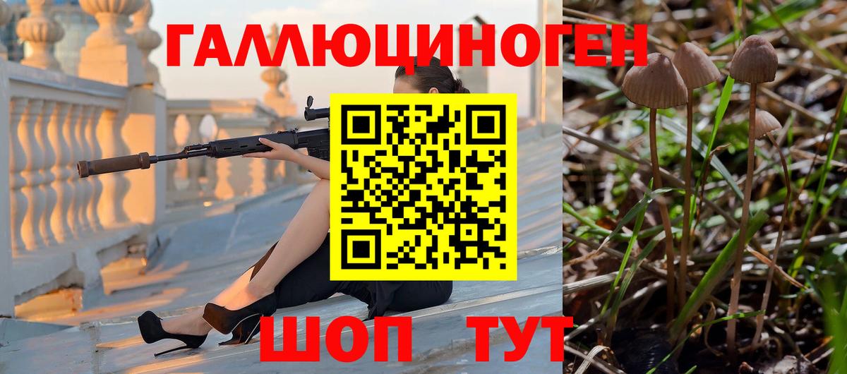 Галлюциногенные грибы Psilocybe  Вход с VPN  Сланцы 