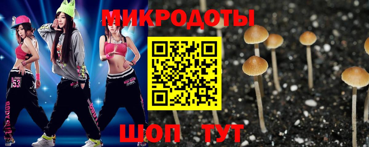 Галлюциногенные грибы мухоморы Сланцы